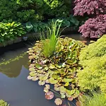 Pohorje Zen Garden Сasa de vacaciones Hočko Pohorje