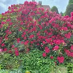 Pohorje Zen Garden * Hočko Pohorje