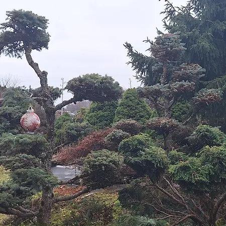 Pohorje Zen Garden * Хочко Погорье
