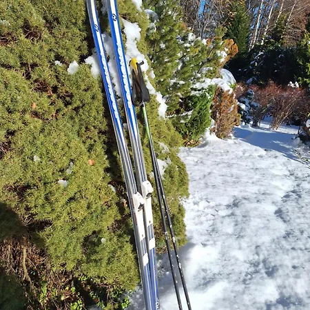 Pohorje Zen Garden Дом отдыха
