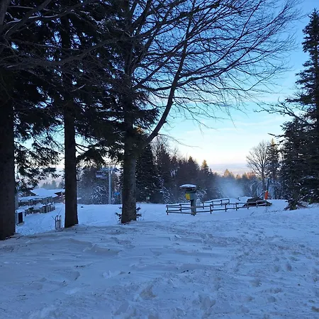 Pohorje Zen Garden * Hočko Pohorje