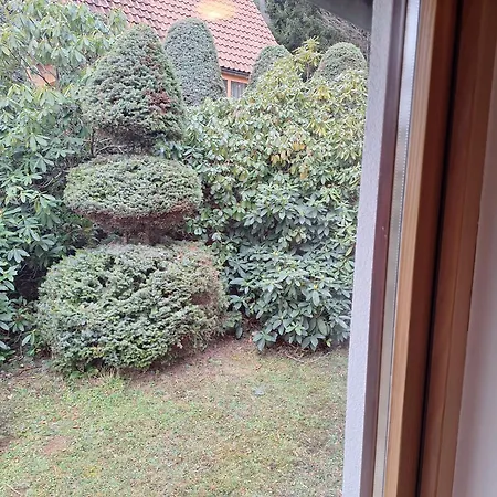 Pohorje Zen Garden * הוקו פורז'ה