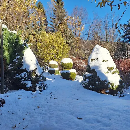Pohorje Zen Garden * Хочко Погорье