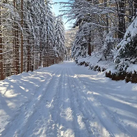 Pohorje Zen Garden Hočko Pohorje