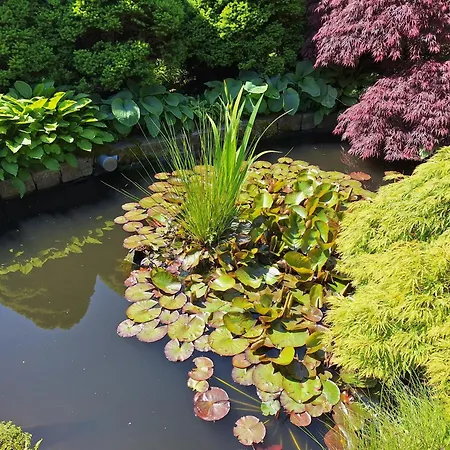 Pohorje Zen Garden Дом отдыха Хочко Погорье
