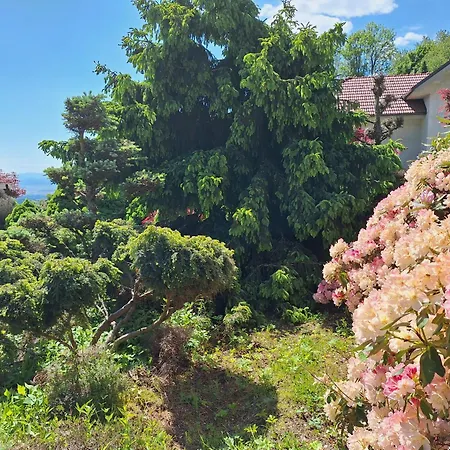 Pohorje Zen Garden * הוקו פורז'ה