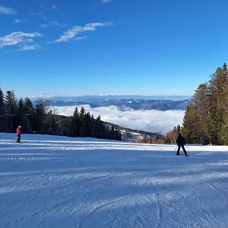 Сasa de vacaciones Pohorje Zen Garden *