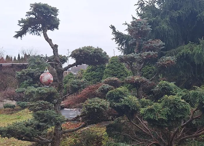 Pohorje Zen Garden * Hočko Pohorje