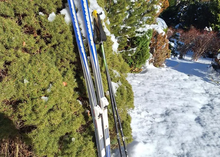 Pohorje Zen Garden بيت للعطل