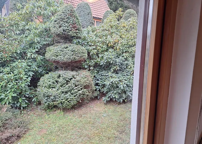 Pohorje Zen Garden * Hocko Pohorje