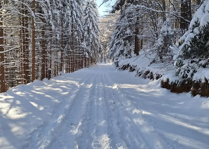 Pohorje Zen Garden Hočko Pohorje