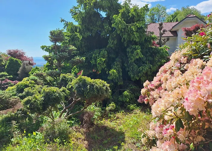 Pohorje Zen Garden * Hočko Pohorje