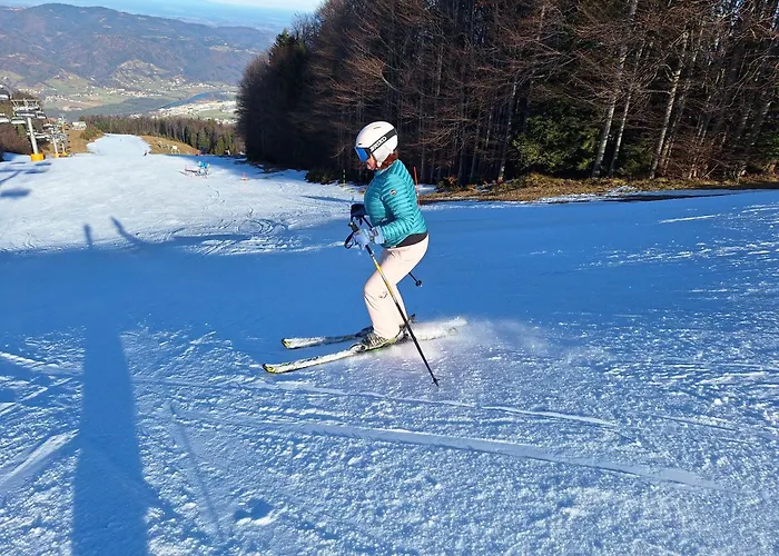 Pohorje Zen Garden Hocko Pohorje